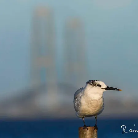 Historisches Strandanwesen Mit Meerblick By Interhome Dom wakacyjny