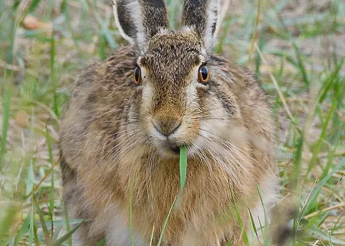 Holiday home Historisches Strandanwesen Mit Meerblick By Interhome *