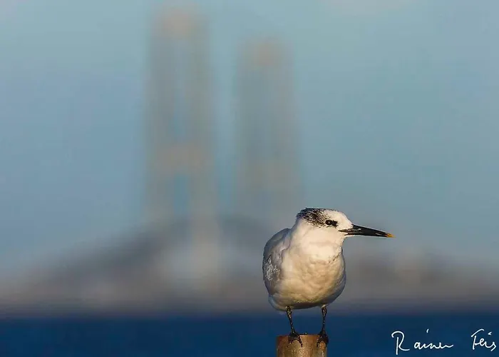 Historisches Strandanwesen Mit Meerblick By Interhome Holiday home